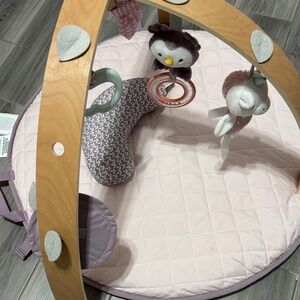 Plush Baby Play Gym - Pink and Gray Developmental Activity Mat